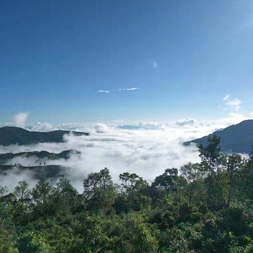 江西雩山